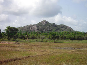 Hatthikucchi Vihara

